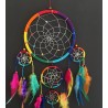 Rainbow Dreams