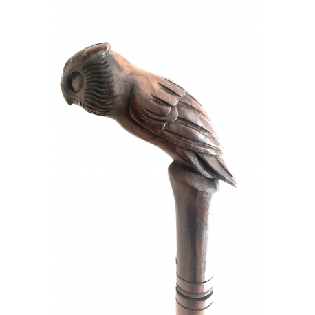 Wise Owl