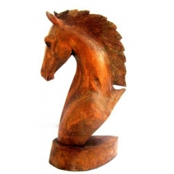 Horse's Head