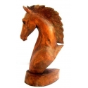 Horse's Head