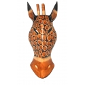 Young Giraffe