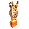 Young Giraffe