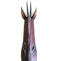 African Antelope