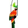 Tropical Sounds