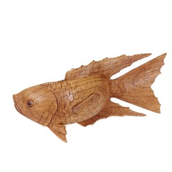 Koi Fish