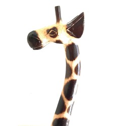African Safari