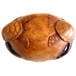 Turtle Bounty