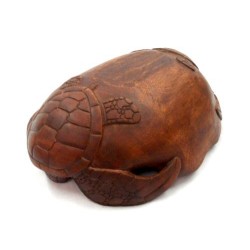 Turtle Bounty