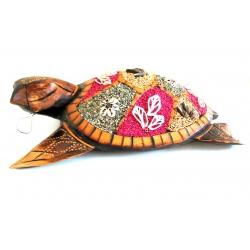 Tropical Turtle