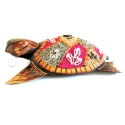 Tropical Turtle
