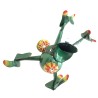 Moonlit Frog