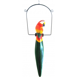 Tropical Sounds