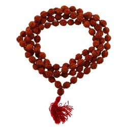 Sacred Rudraksha