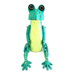 Green Froggy