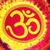 OM Splendor