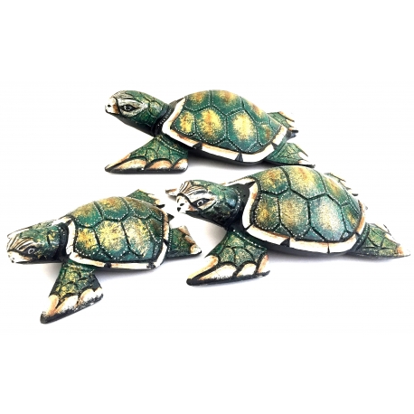 Turtle Crossing