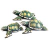 Turtle Crossing