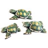 Turtle Crossing