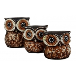 Owl Family