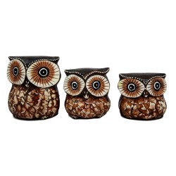 Owl Family