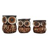 Owl Family