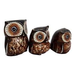 Owl Family