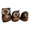 Owl Family