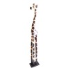 African Giraffe