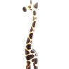 African Giraffe