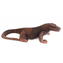 Komodo Dragon