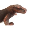 Komodo Dragon
