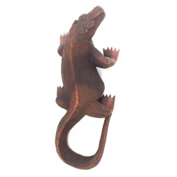 Komodo Dragon