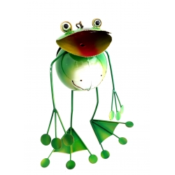 Summer Frog
