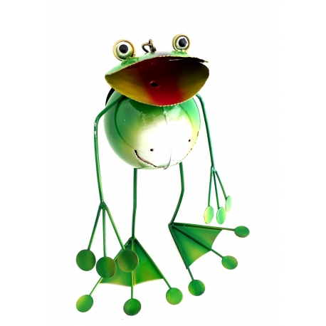 Summer Frog