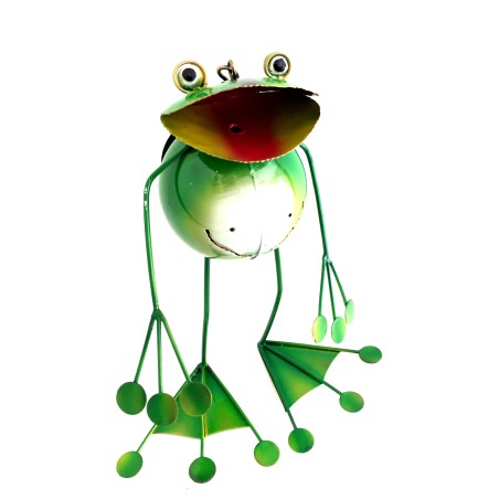 Summer Frog
