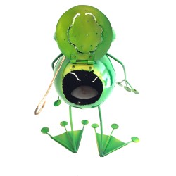 Summer Frog