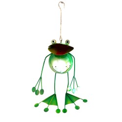 Summer Frog