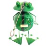 Summer Frog