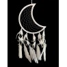 Silver Moon