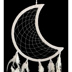 Silver Moon