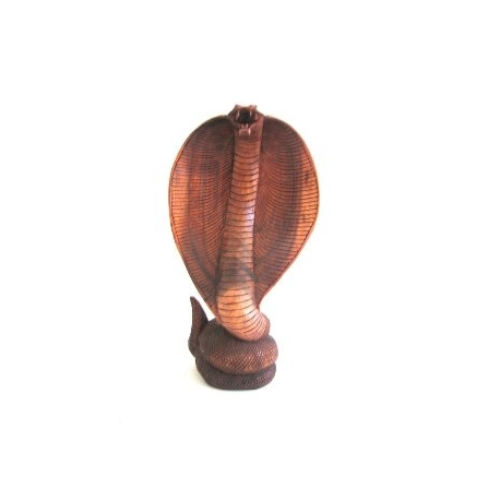 King Cobra